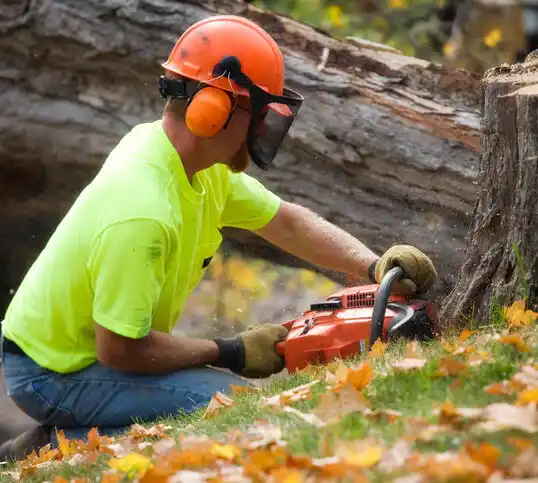 tree services Ellsinore